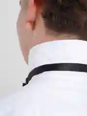 Хром бабочка двойная