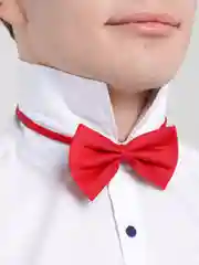 Бордовый бабочка для мужчин универсальная, галстук