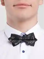Черный бабочка двойная