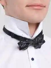Черный бабочка двойная