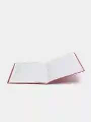 Дневник школьный  "Красный"