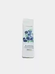 Ночная маска для лица с экстрактом черники Blueberry Arbutin Moisturizing Mask 4мл