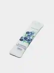 Ночная маска для лица с экстрактом черники Blueberry Arbutin Moisturizing Mask 4мл