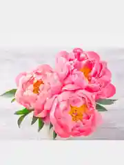 Конфетный алмазная мозаика 28 х 38 см, без подрамника, Сложность - 4