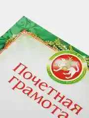 Зеленый почетные грамоты с символикой Татарстана, дипломы, благодарности, А4, 20 штук
