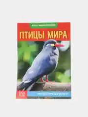 Лавандовый книга для детей Мини - энциклопедии