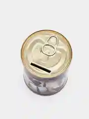 Копилка для денег