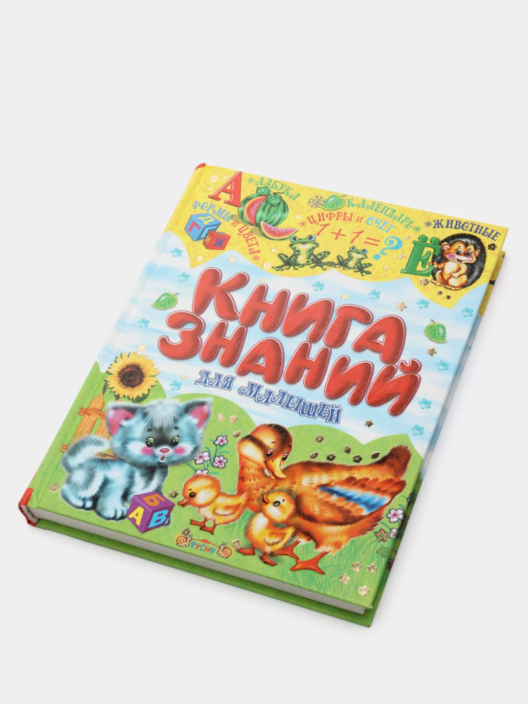 Книга знаний для малышей. Обучающие пособие. Детская энциклопедия.