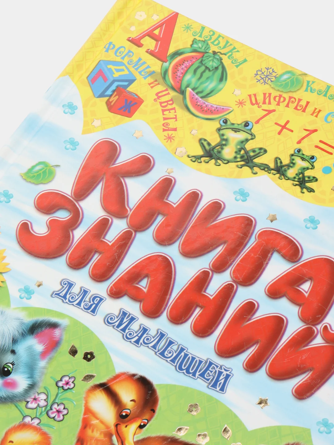 Книга знаний для малышей. Обучающие пособие. Детская энциклопедия.
