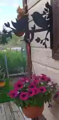 Кронштейн для кашпо настенный