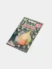 Лук "Эксибишен", семена драже