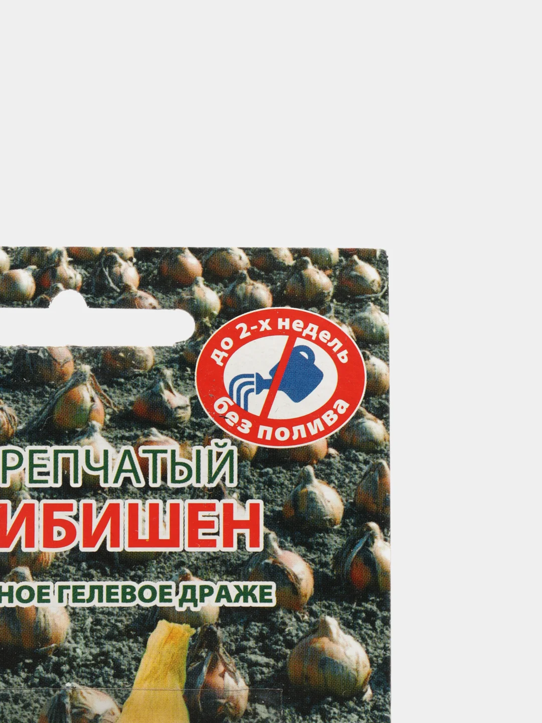 Лук "Эксибишен", семена драже