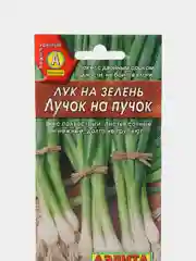 Семена Лук на зелень ранний "Лучок на пучок", 0,5 г