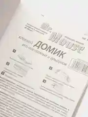 Клеевая ловушка, домик  Mr.Mouse от тараканов, крыс, мышей, муравьев, клей от мышей,  крыс