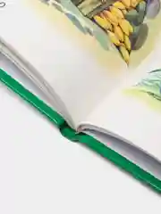 Чтение для малышей "Малышкины забавы"