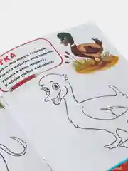 Раскраска "Домашние животные", 12 страниц
