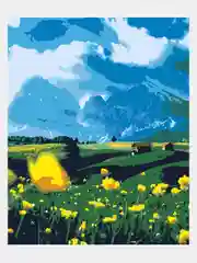 Картина по номерам на холсте с подрамником "Жёлтые купальницы", 50x40 см