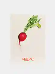 Дидактические карточки Маленький гений, Фрукты/ Овощи