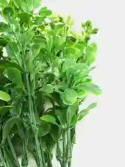 Желтый букет искусственной зелени