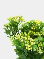 Желтый букет искусственной зелени