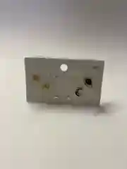 Гвоздики