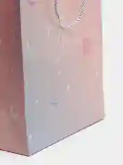 Пакет для подарка