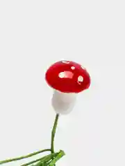 Муляж фрукты