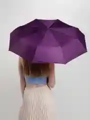 Фиолетовый зонт автоматический, складной, унисекс. Разные цвета