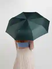 Зеленый зонт автоматический, складной, унисекс. Разные цвета