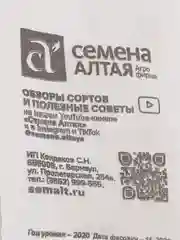 Семена Кабачок "Ролик", Сем. Алт, б/п, 2 г