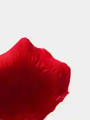 Багровый искусственные лепестки роз прессованные / Лепестки роз для декора, рукоделия