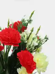 Искусственные цветы. Кустовые гвоздики (двухцветный букет). Высота: 37 см. D цветка: 5 см