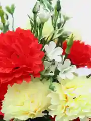 Искусственные цветы. Кустовые гвоздики (двухцветный букет). Высота: 37 см. D цветка: 5 см
