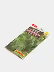 Клещевина Занзибарская, семена, цветы