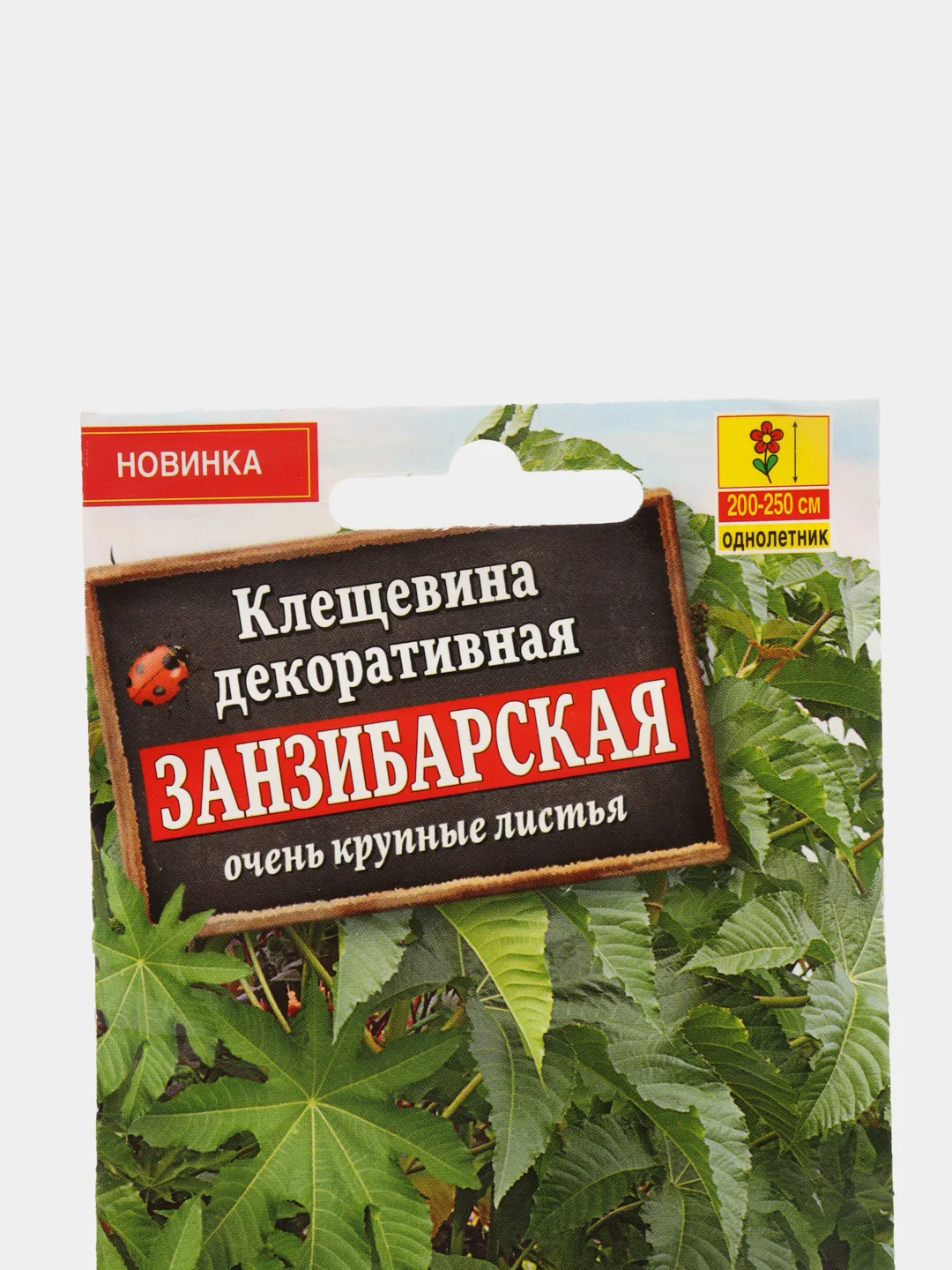 Клещевина Занзибарская, семена, цветы