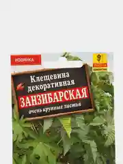 Клещевина Занзибарская, семена, цветы