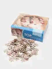 Терракотовый пазлы 1000 элементов