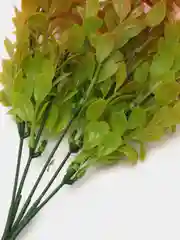 Искусственные цветы. Ротала круглолистная (пластиковый букет). Высота: 34см. D бутона 2см