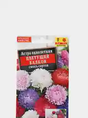 Астра Цветущий балкон, семена, цветы