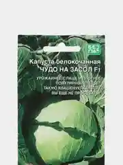Семена Капуста Чудо на засол