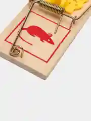Мышеловка деревянная