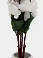 Белый искусственные цветы "Сакура"