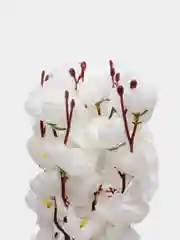 Белый искусственные цветы "Сакура"