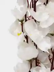 Белый искусственные цветы "Сакура"