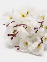 Белый искусственные цветы "Сакура"