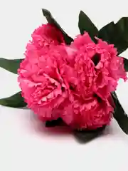 Конфетный искусственные цветы, хризантемы