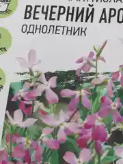 Семена фиалка "Маттиола" цветы садовые