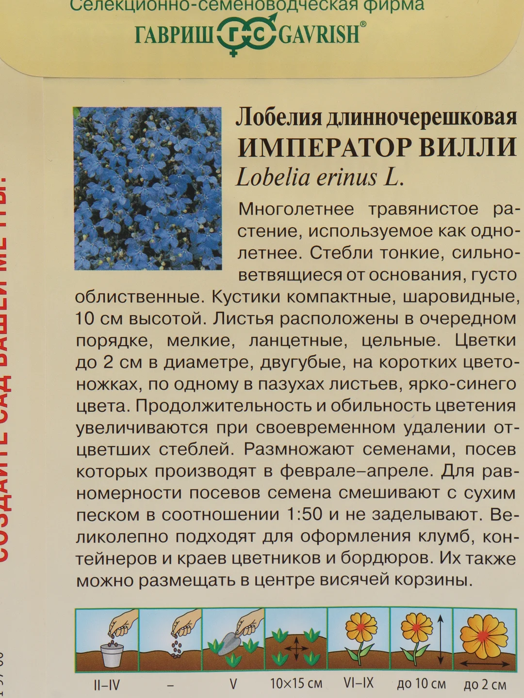 Семена Лобелия "Император Вилли", цветы