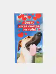 Бирюзовый обертка для шоколада, открытка на праздник