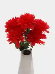 Красный искусственные цветы хризантемы, букет.